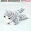Marine Animal Sea Turtle Stuffed Doll Fluffy Little Cat Plush Doll Tortoise Plush Toy  Car Decor