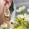 Spring New Alloy Earrings Women's Earrings Minimalist Geometric Metal High End Jewelry Accessories