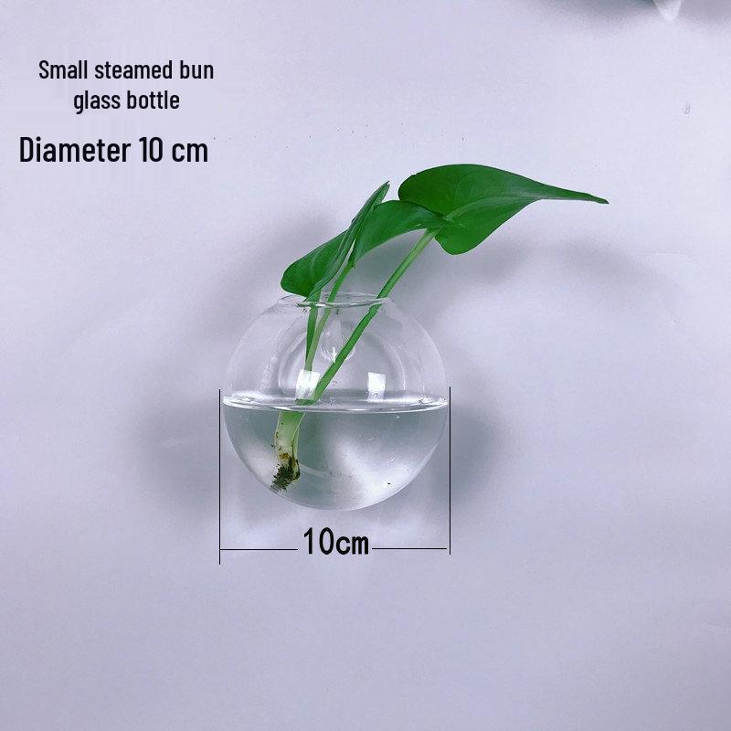 Creative Wall-Mounted Transparent Glass Vase for Plants and Fish