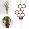 Honeycomb Wall Breeding Station - A Gift For Plant Lovers