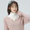 Beautiful White Stand Collar Lady Floral Ornament Shirt Fake Collar Children