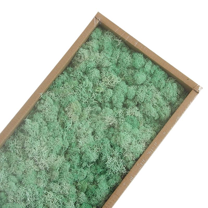 Preserved Flower & Moss Wall Decoration Kit: Flower Gift Box Materials