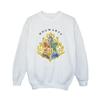 HARRY POTTER Boys Hogwarts School Emblem Sweatshirt