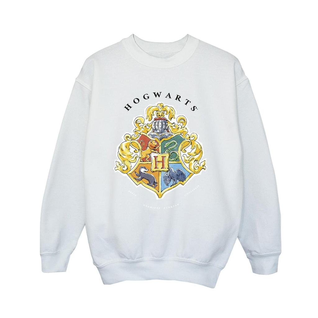 HARRY POTTER Boys Hogwarts School Emblem Sweatshirt