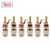 2 4mm Brass Speaker Amplifier Binding Posts Terminals Transparent Shell Oxidation Resistance Brass Terminal for Banana Plugs