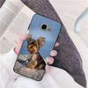 Чехол для телефона с собакой йоркширского терьера для Samsung Galaxy A30 A20 S20 A50S A30S A71 A10S A6 plus Fundas Coque