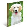 Herma Elasticated PP Folder A4 Animals (Dogs)