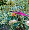 Feather Bird Ornament Lifelike Figurine for Home Decor Shelf or Table Display