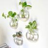 1/2/4/6pcs Flat Glass Vase Wall Hanging Glass Terrariums Planter Transparent Wall Mounted Vase