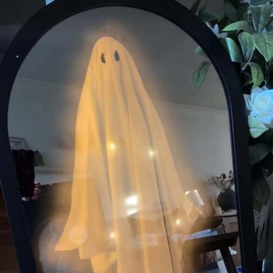Halloween Hologram Ghost Mirror LED Light Up Spooky Ghost Mirror for Halloween Indoor Outdoor Haunted House Room Decor