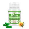 Morsan Nutraveda Bala (Sida Cordifolia) Extract Capsule - 60 Veg. Capsules X 500 Mg100% Herbal & High Potency (1 Pack of 60 Capsules)