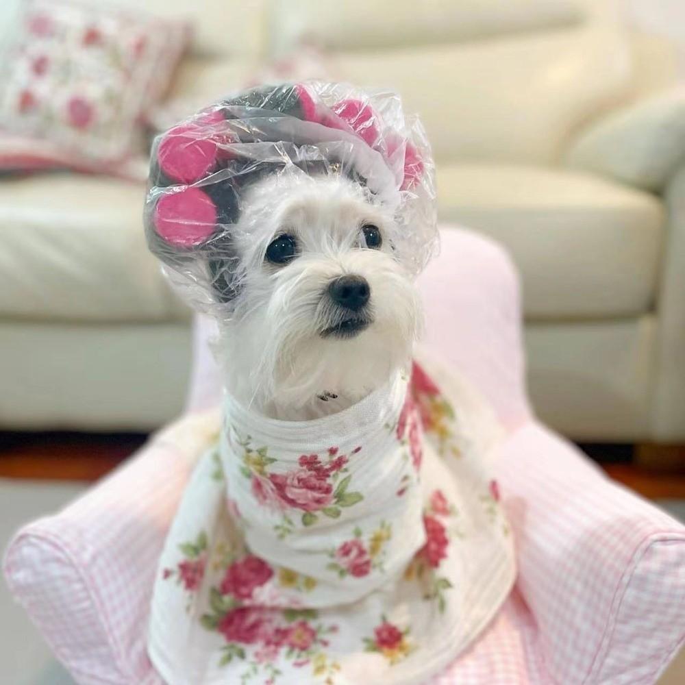 Curly Hair Pet Head Cover Breathable Cat Hairdressing Costume Curly Hair Dog Hats Christmas