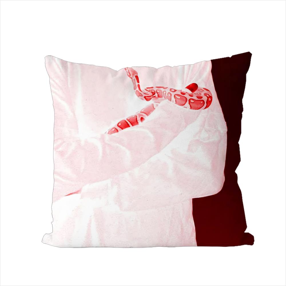 Band Sir CChloe Pillow Case For Car Sofa Decorative Home Doublesided Print Plush Square Throw Pillow Cushion Cover