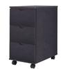 VidaXL Chest of Drawers 33x45x60 Cm Black 245726
