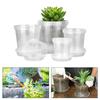 4/5/6/7 Inch Transparent Nursery Pot With Drainage Hole Transparent Planting Pot