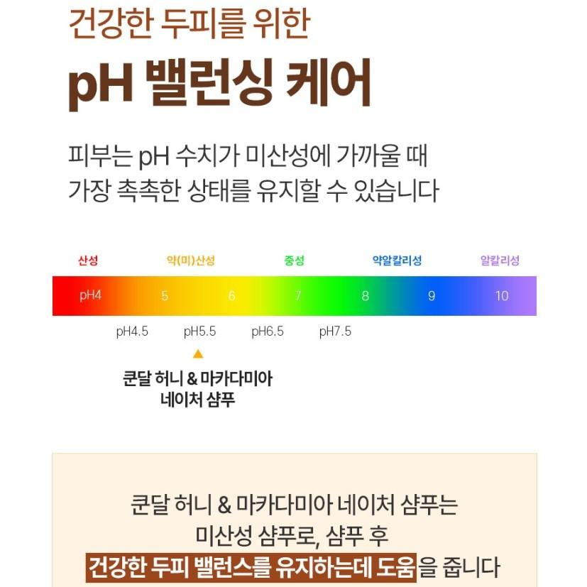 KUNDAL Шампунь с медом и макадамией 500 мл + Бальзам 500 мл Набор Выбор аромата, Популярный корейский набор косметики