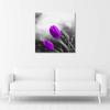 Canvas print, Purple tulips flowers nature