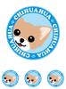 Stare Chihuahua Long Red & White Dog Sticker Blue Back Round L + SS Size [Set of 4] MK-3