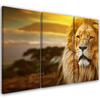 Картина из трех частей, печать на холсте, африканский лев, африканская саванна, пейзаж