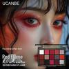 UCANBE Палитра теней для век из 15 цветов - Багровый Play: Макияж на Хэллоуин и дымчатые эффекты