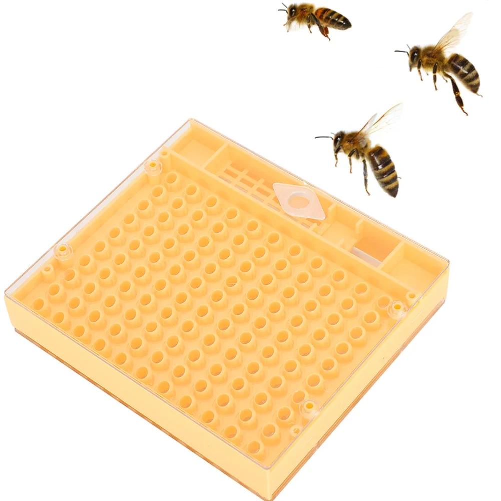 Пластиковый инкубатор Bee King Free Move безвредный ящик для размножения пчеловода инструмент для пчеловодства