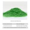 Iron Kingdom Model Terrain Grass Powder