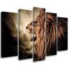Five Piece Picture Canvas Print African Lion Animals Nature
