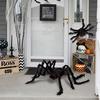 Exquisite Workmanship Easy-operating Red Eyes Black Spider Decor Horrific Black Spider Toy for Festival