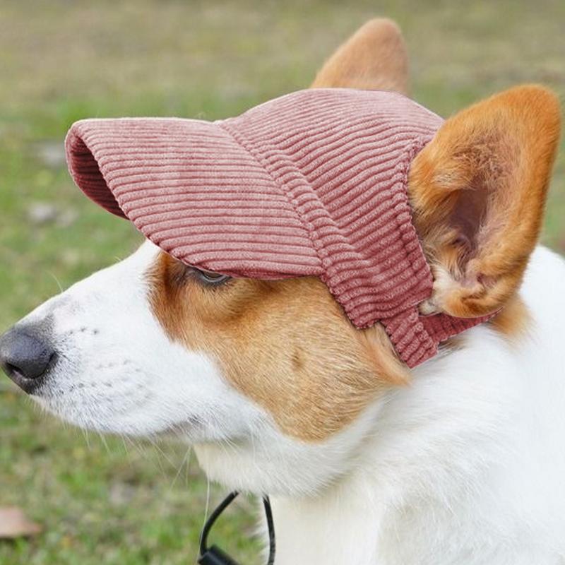 Бейсболка для собак Солнцезащитная бейсболка Регулируемый дизайн с отверстиями для ушей Пляжный козырек для занятий спортом на открытом воздухе, прогулок, походов