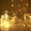 5M-50M LED String Lights Silver Copper Wire 12V Fairy Night Lamp for Chiristmas Garland Bedroom Light Indoor Wedding Decoration