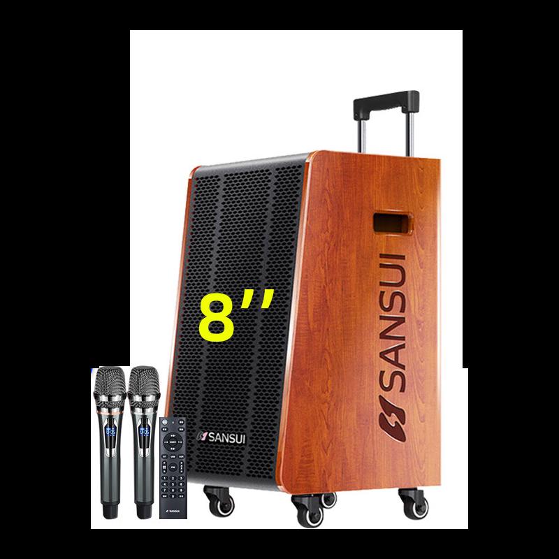 ShanShui High-Power Portable KTV Trolley Speaker CN plug (adapter included)