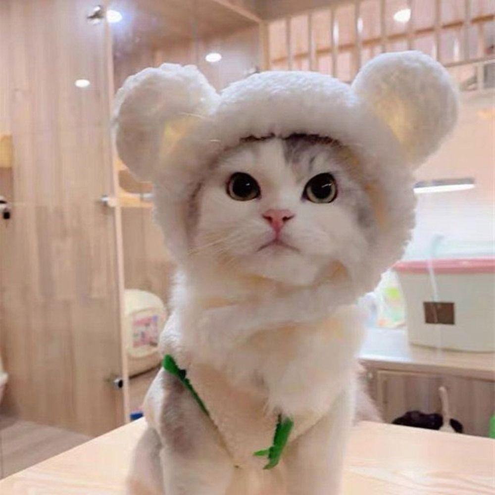 Cute Cosplay Costume Pet Accessories Cat Hat Headgear Short Plush Bear Puppy Cap