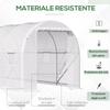 Tunnel Garden Greenhouse 5x2x2m With Steel Structure And White Polyethylene Cover