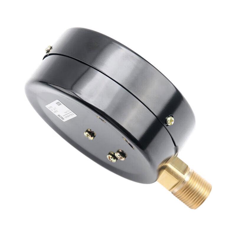 Радиальный манометр ELECALL Y100 (Китайская версия)