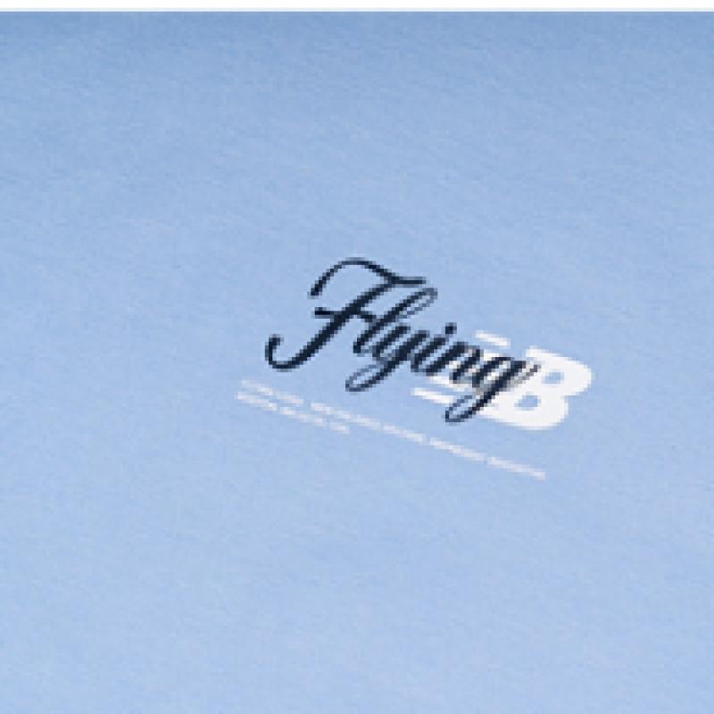 New Balance Футболка с коротким рукавом Uni Frozen Flying Lettering Nbnef21513 51