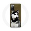 Чехол для Samsung Galaxy S20 FE Сибирский хаски