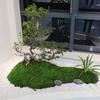 30/100 г Искусственный Зеленый Мох Поделки для DIY Комнатные Растения Сказочные Сады Центральные Элементы Стола Аквариумы Микроландшафт Декоративный Искусственный Мох