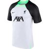 Футболка мужская с круглым вырезом и коротким рукавом с логотипом Dri-Fit, серая DX3020-013