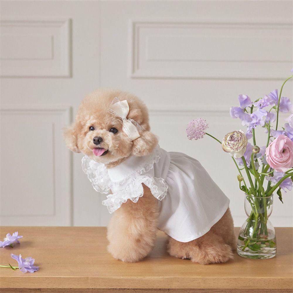 Pet Supplies Lace Ruffle Dog Princess Dress Fashion Breathable Cat Flying Sleeve Skirt Soft Pet Clothes Autumn