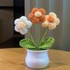 1PC Handmade Weaving Mini Potted Flowers DIY Home Office Desktop Decoration Potted Plants Wool Home Decoration