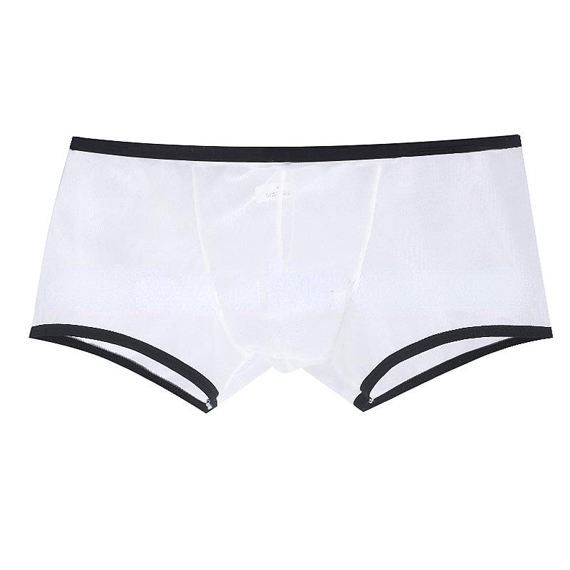Men Transparent Low Rise Quick-Dry Boxer Briefs Ultra-thin See Through Mesh Men Underpants Sexy