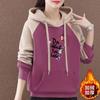 Autumn Winter Velvet Thickening Korean New Hooded Sweatshirt Women's Top Pullover Kangaroo Pocket