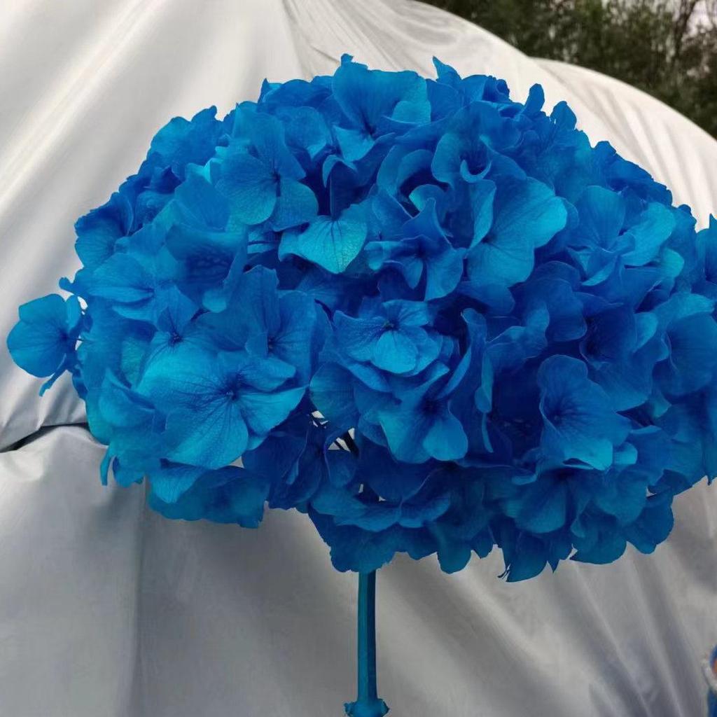 Multi-Color Preserved Bigleaf Hydrangea Single Stem Flower Bouquet for Home Decoration
