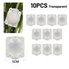 10 PCS Grafting Box Breeding Ball Transparent 5cm/8CM