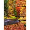 5D Алмазная картина Осеннее дерево Лесной пейзаж Алмазная вышивка Крестом