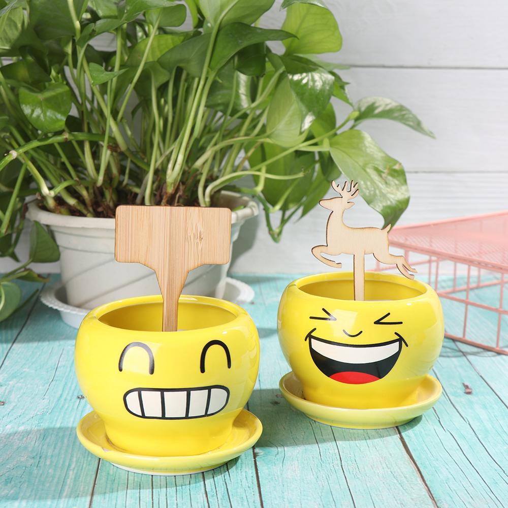 Shapes Nursery Pots Plant Markers Planting Tags Garden Wooden Labels Bamboo Crafts Bonsai Ornament