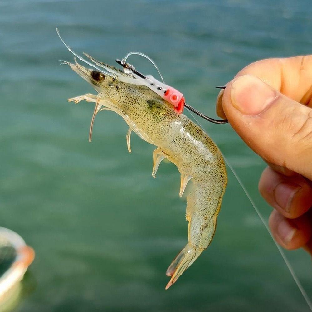 Набор держателей для приманки 5 шт. Нержавеющая сталь Светящиеся Фиксированные Держатели Против запутывания Без срыва Светящиеся Крючки для живых креветок Острые С зазубринами Противоскользящие