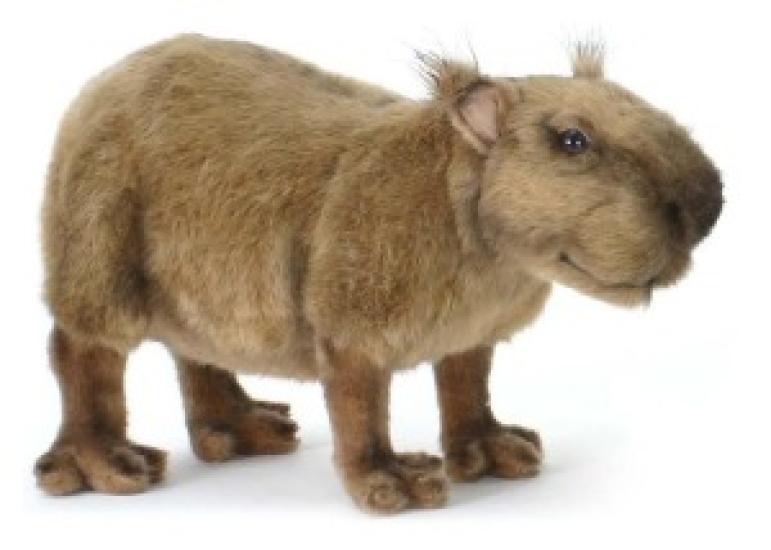 BH5128 HANSA Капибара 33