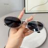 New Retro Oval Sunglasses for Ladies Fashion Small Metal Frame Sunglasses Women Classic  Shades Trends Summer Unique