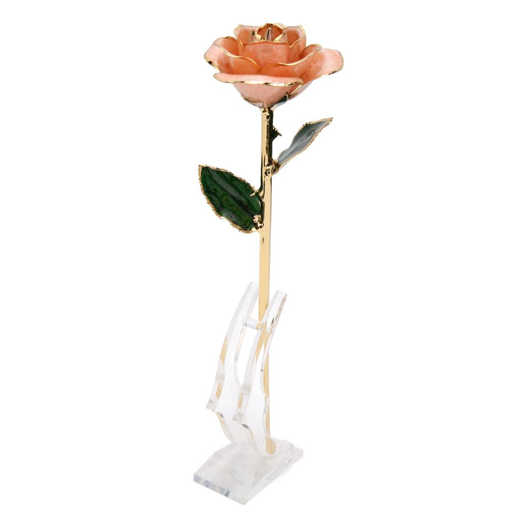 Gold Dipped Rose 24K Gold Plated Dipped Rose with Stand for Valentine " S Day and Anniversary Pink